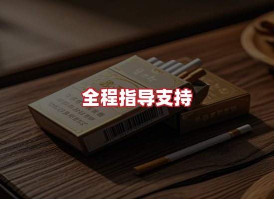 专业团队